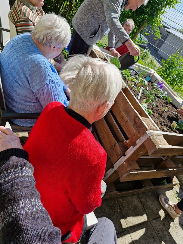 Bewohner gießt Pflanzen im Hochbeet an