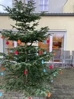 Am Weihnachtsbaum vor dem RHEIN-PFALZ-STIFT hängen Zettel mit Namen der Bewohner, die sich über einen Brief freuen.