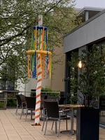 Auf der Terrasse der avendi-Pflegeeinrichtung WILHELMSHÖHE in Wiesloch stand der Maibaum.